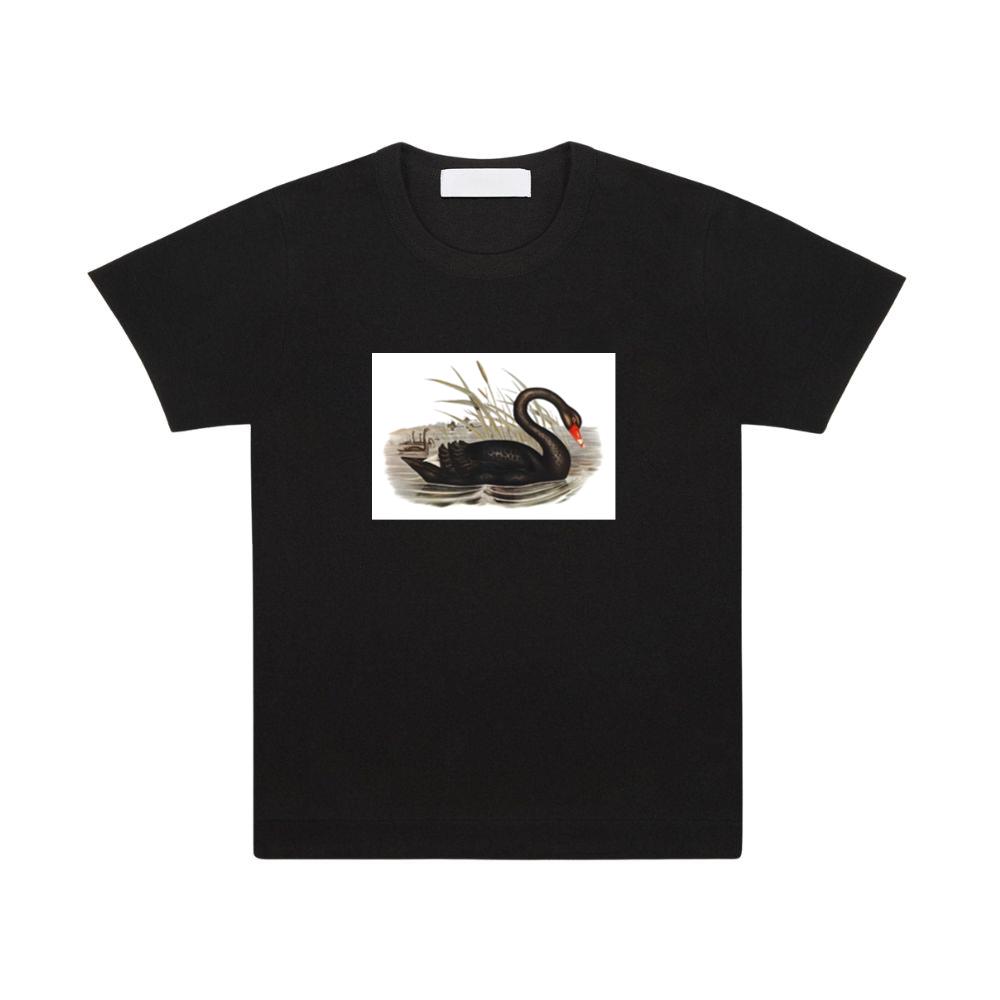 Black Swan in Water T-Shirts