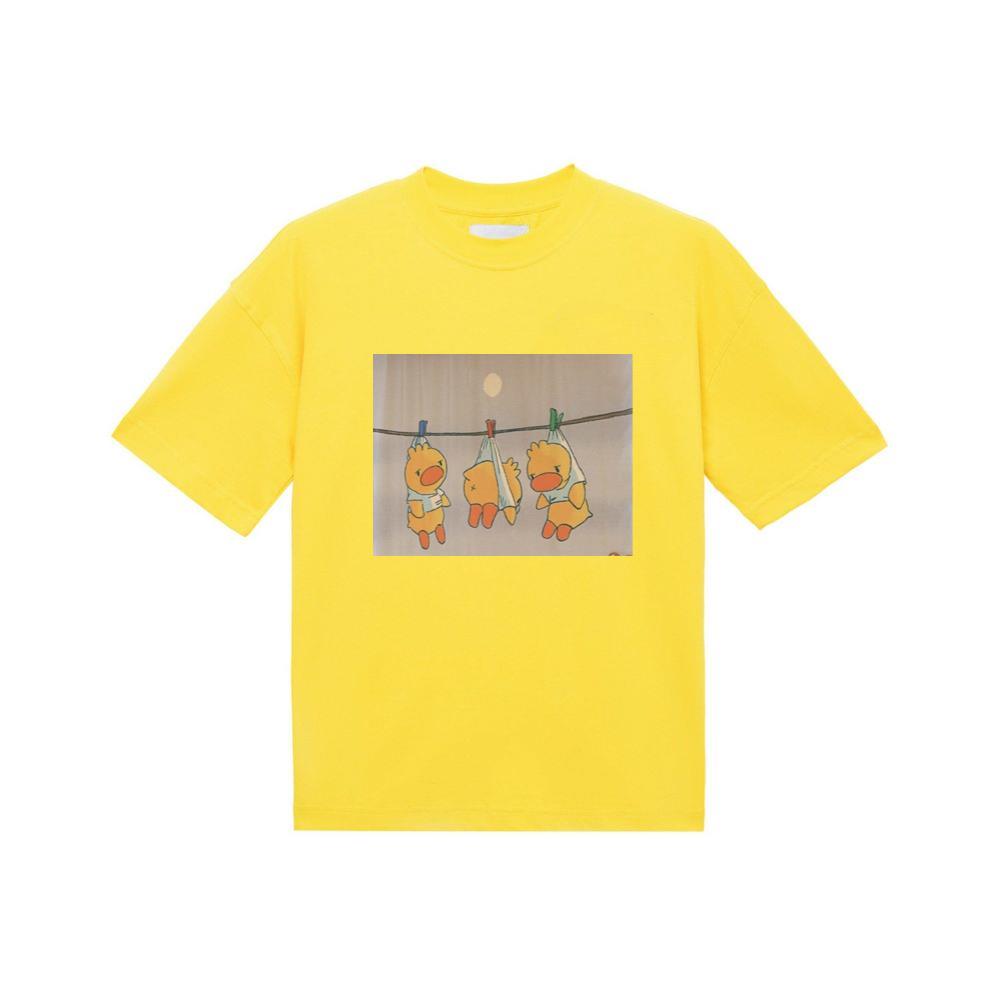 Chicks on a Clothesline TShirts Zaidstore