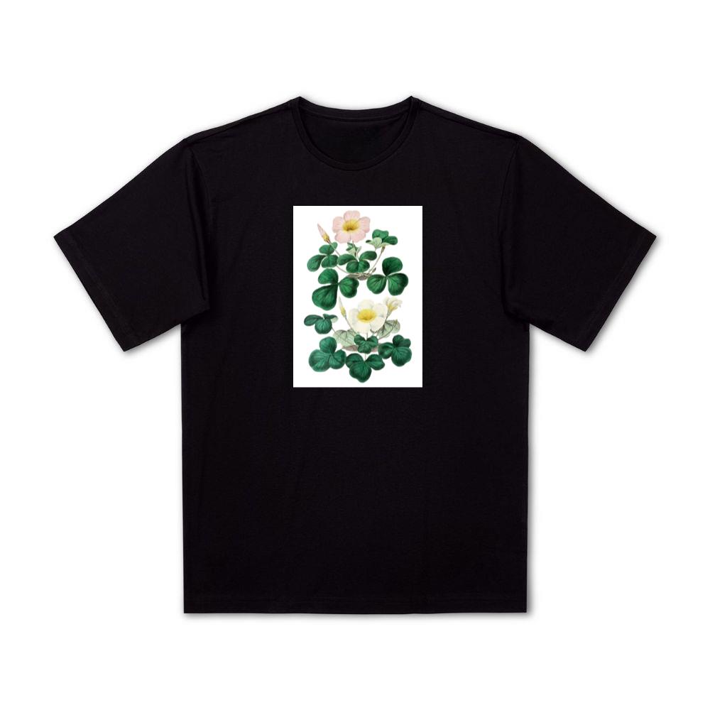 Pink and White Oxalis Blossoms T-Shirts