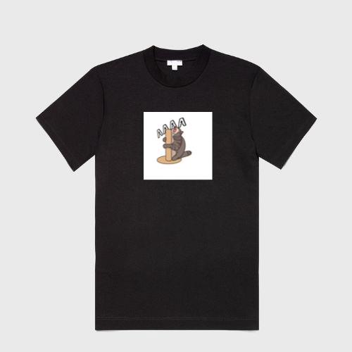 The Feline Frustration of Furiously Frantic Friction T-Shirts