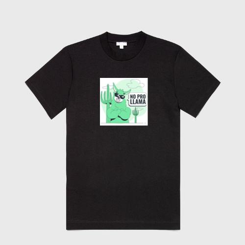 The Paradoxical Pronouncement of Probable Proficiency T-Shirts