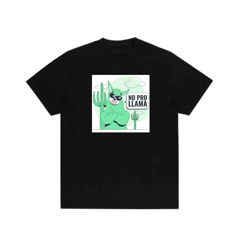 The Paradoxical Pronouncement of Probable Proficiency T-Shirts