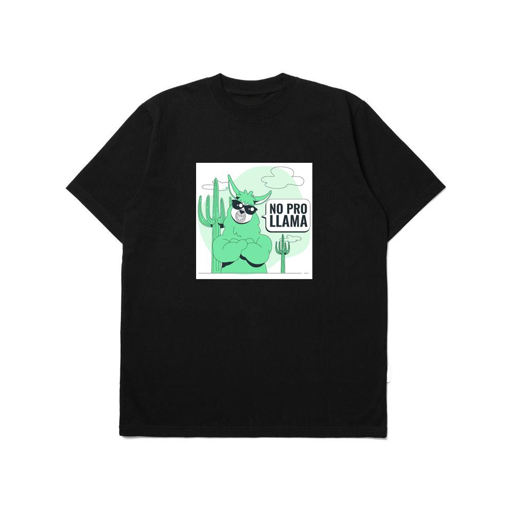 The Paradoxical Pronouncement of Probable Proficiency T-Shirts