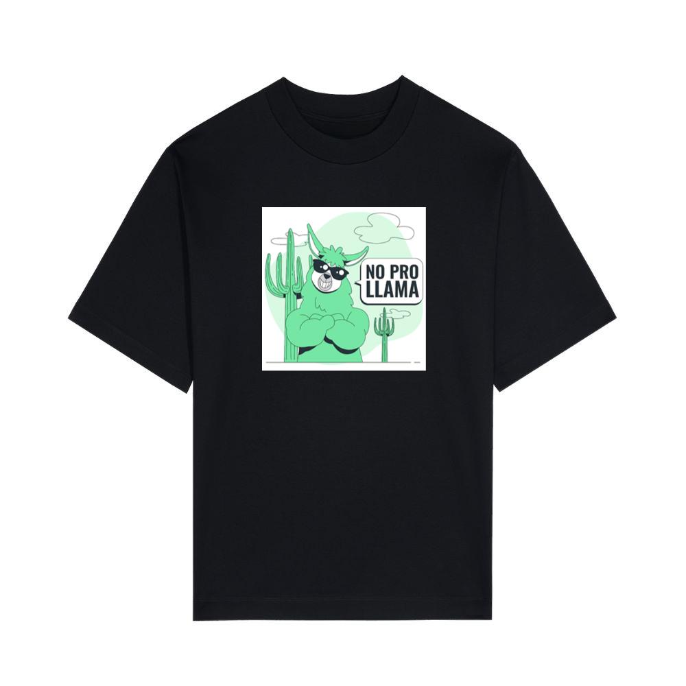 The Paradoxical Pronouncement of Probable Proficiency T-Shirts