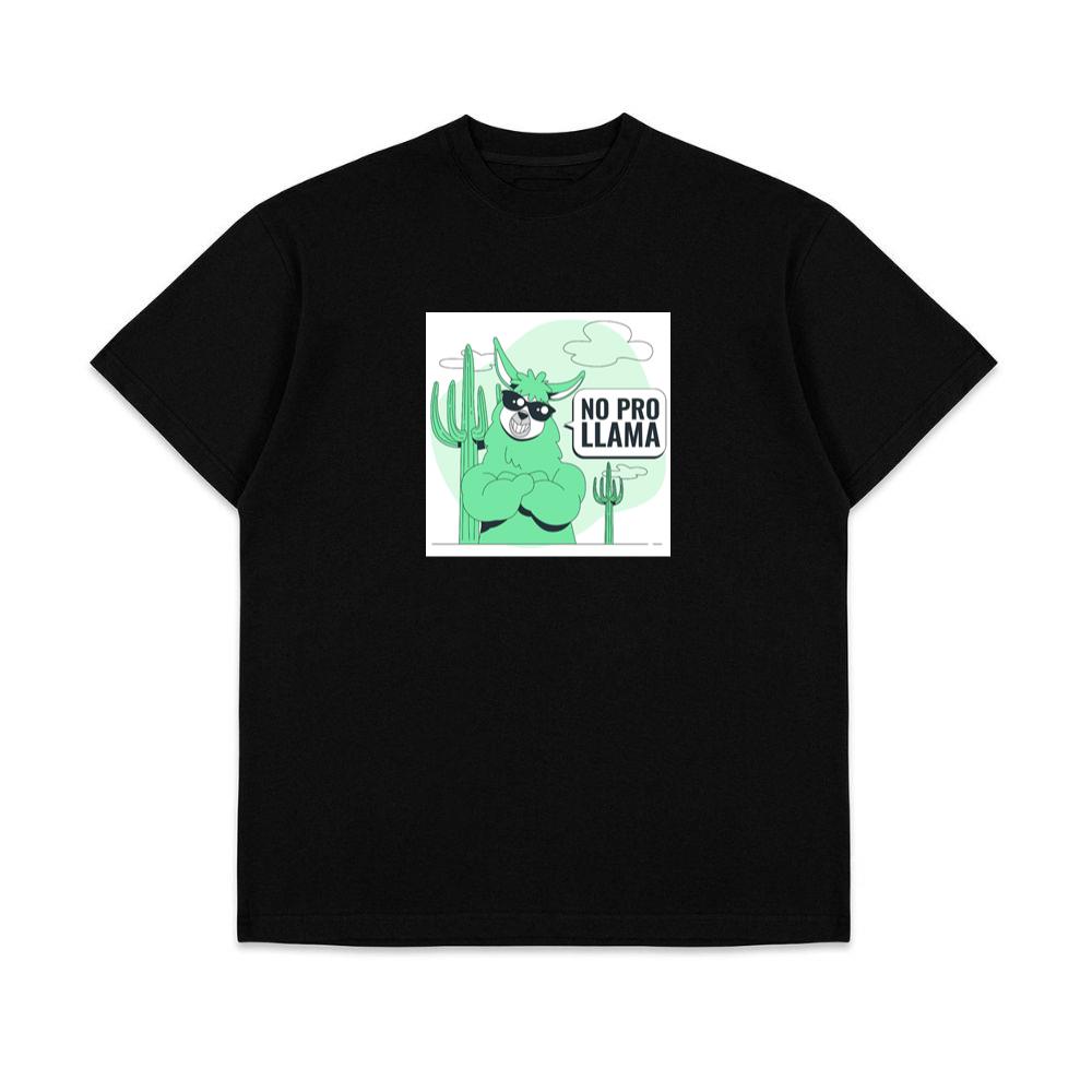 The Paradoxical Pronouncement of Probable Proficiency T-Shirts