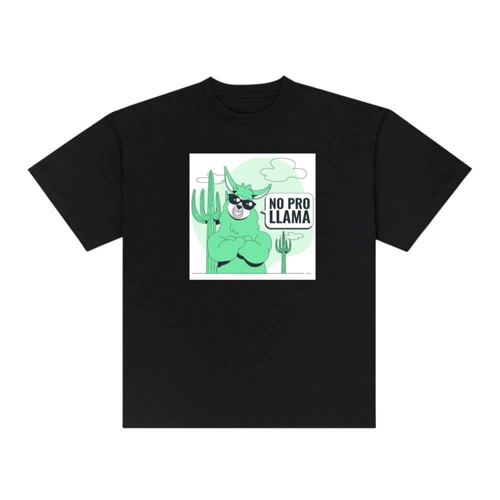 The Paradoxical Pronouncement of Probable Proficiency T-Shirts