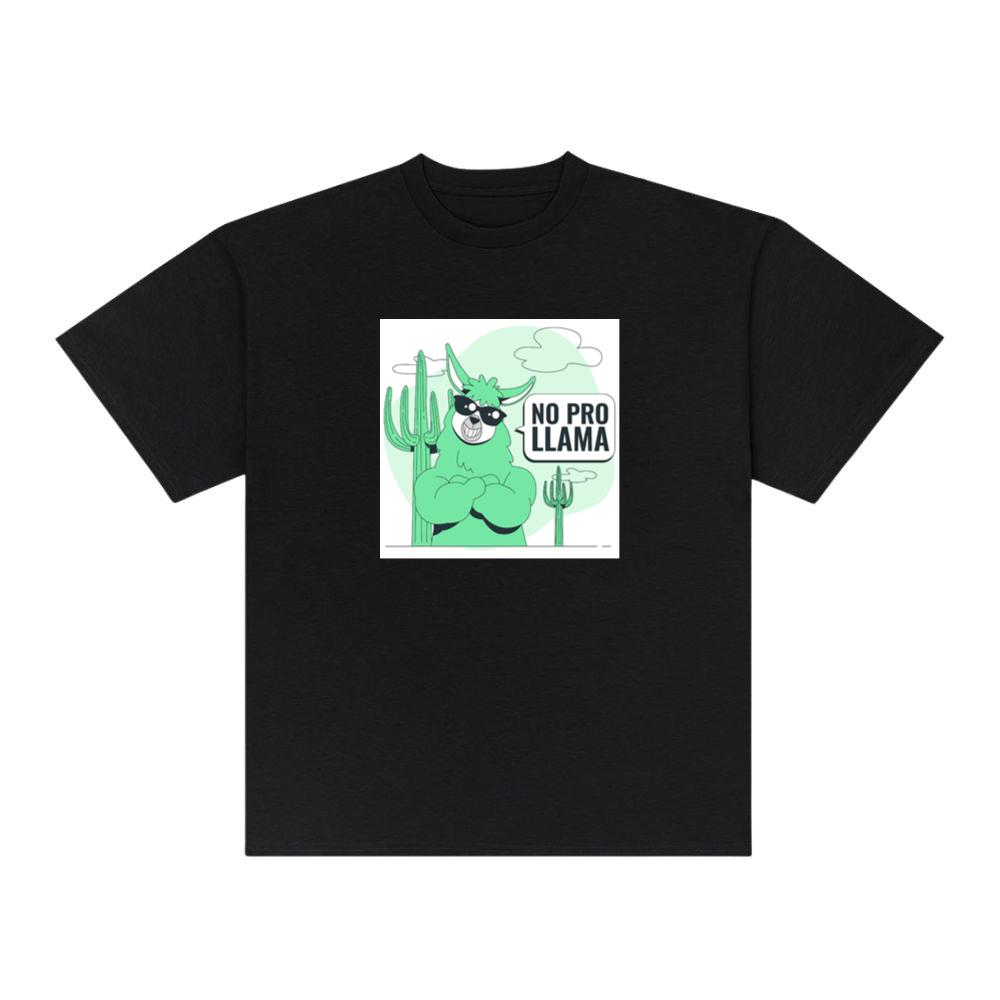The Paradoxical Pronouncement of Probable Proficiency T-Shirts
