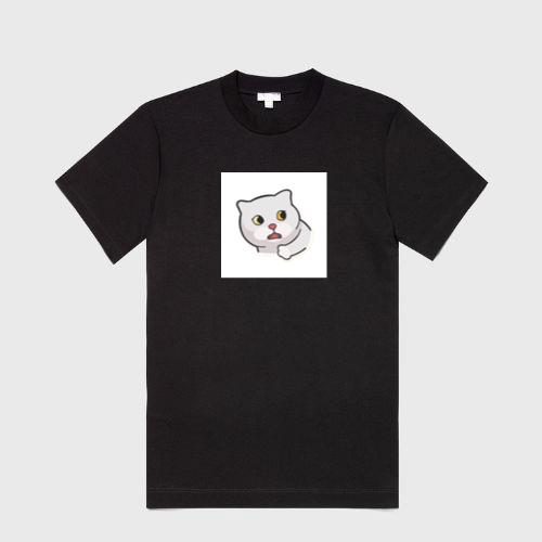 The Perplexed Ponderings of a Petulant Pussycat T-Shirts