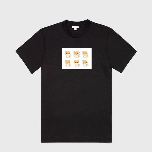 The Shiba Spectrum of Smiles and Snarls T-Shirts