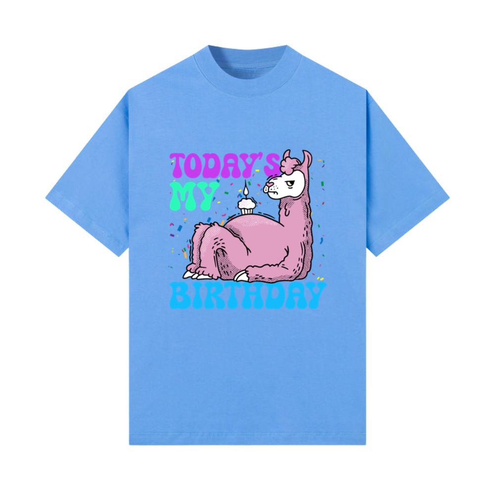 Today's My Birthday Cupcake Alpaca Animal Lover T-Shirt