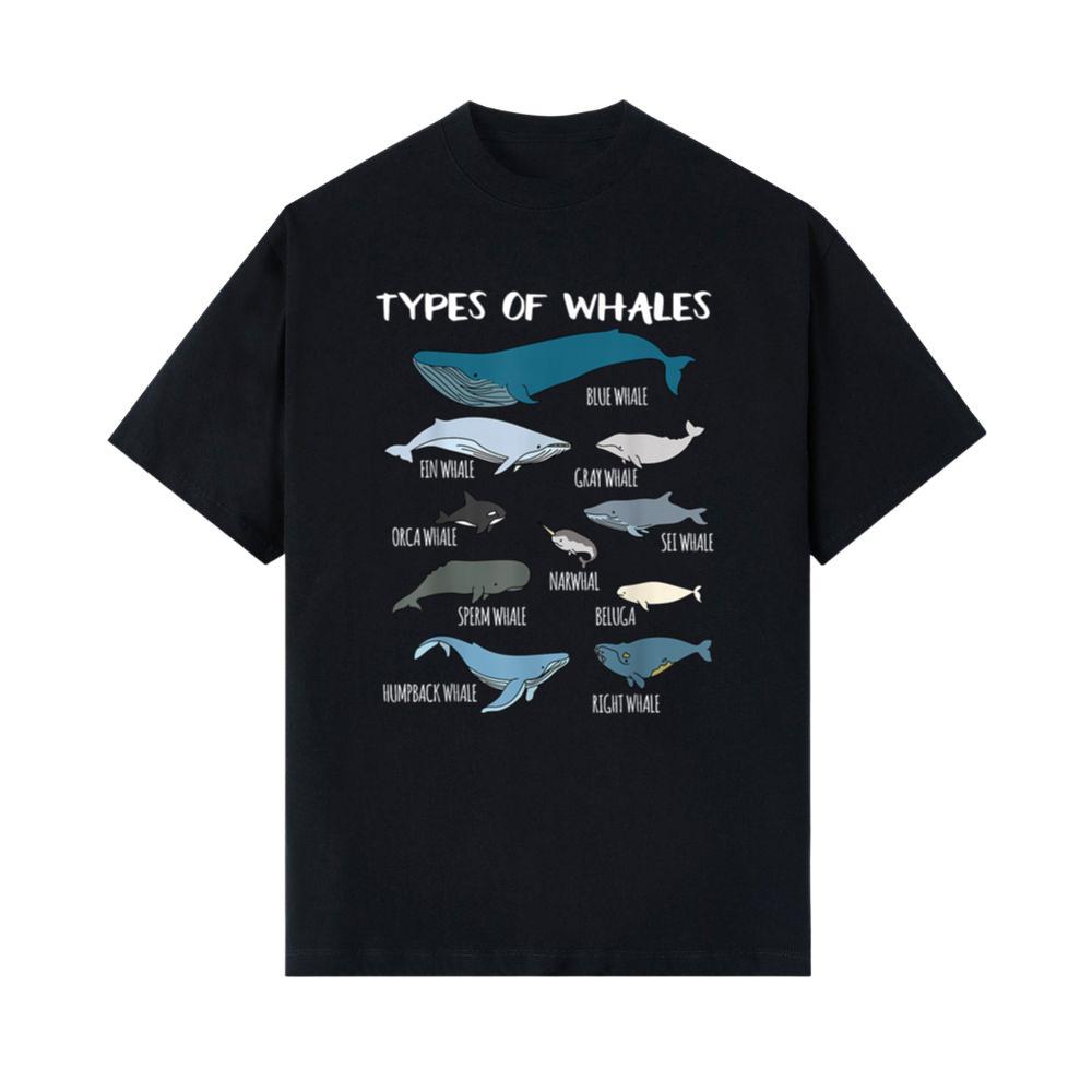 Types Of Whales Cute Ocean Mammals Guide T Shirt T-Shirt