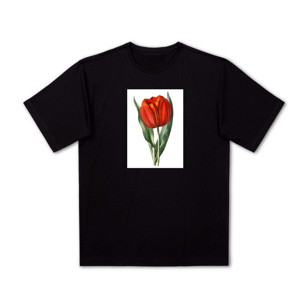 Vintage Botanical Red Tulip Illustration T-Shirts