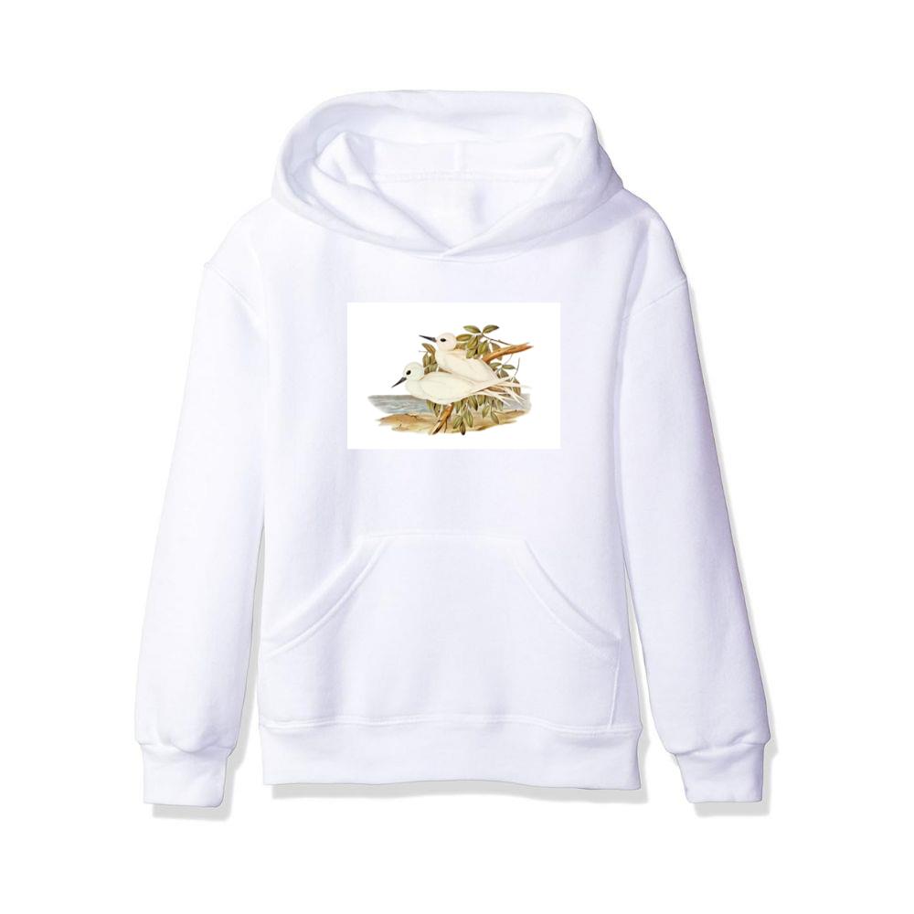 Vintage Tern and Seascape Hoodies