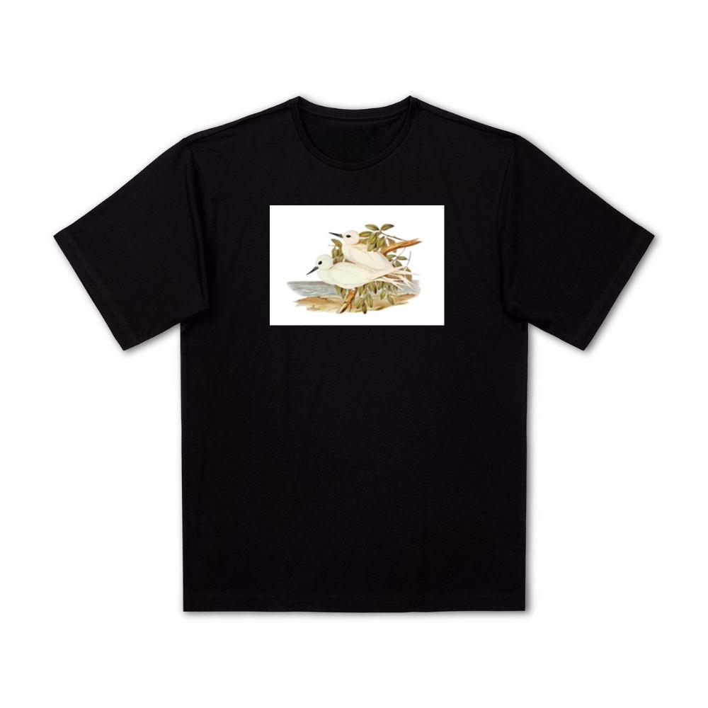 Vintage Tern and Seascape T-Shirts