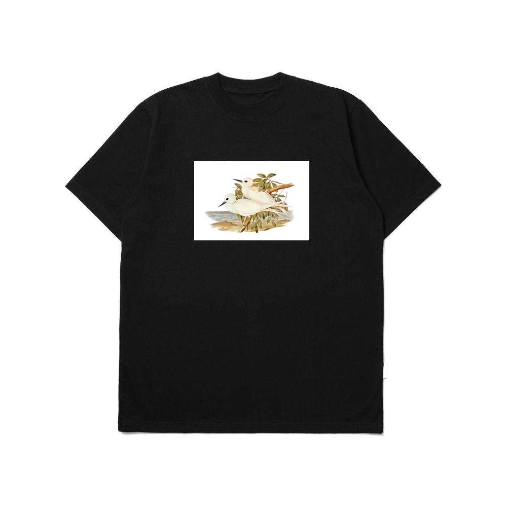 Vintage Tern and Seascape T-Shirts