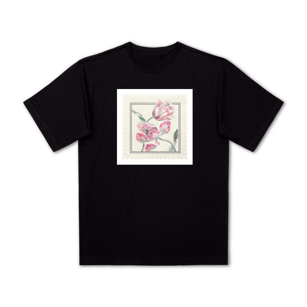 Vintage Variegated Tulip T-Shirts