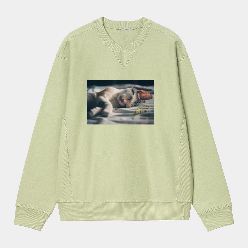 White Orange and Gray Tabby Cat Lying on Gray Textile Sweatshirt